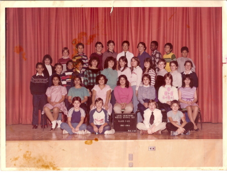 Louis Armstrong Intermediate School 227 Alumni, Yearbooks, Reunions - East Elmhurst, NY - Classmates