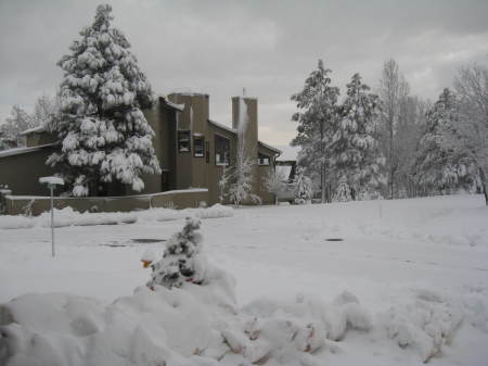 Snow in Pinetop,Az on 12-13-07