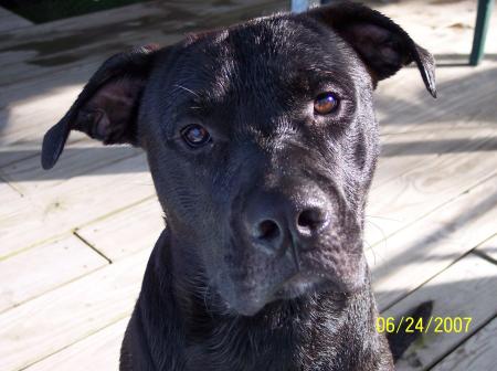 Shadow at the lake