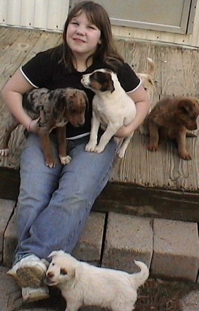 Amberlynne and Pups