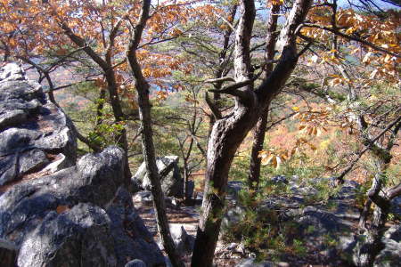 one of the many hiking trails