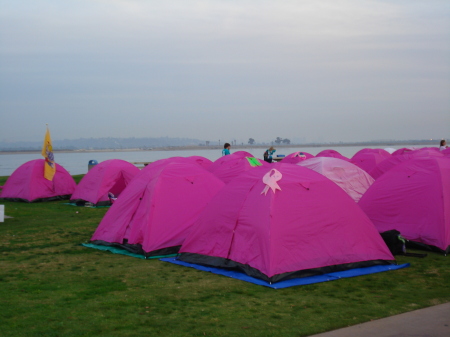 breast cancer walk 004