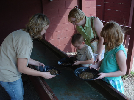 Panning for Gold in Deadwood