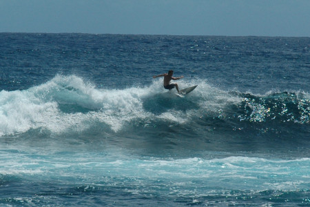 Surfing Hawaii