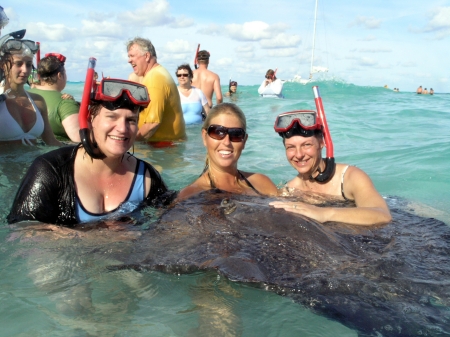 Swimming with the Stingrays