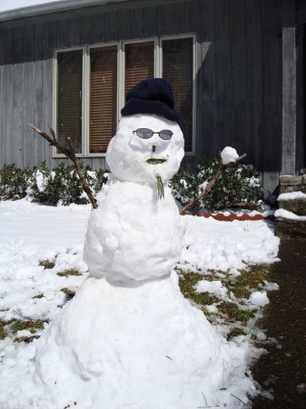 Snowdude