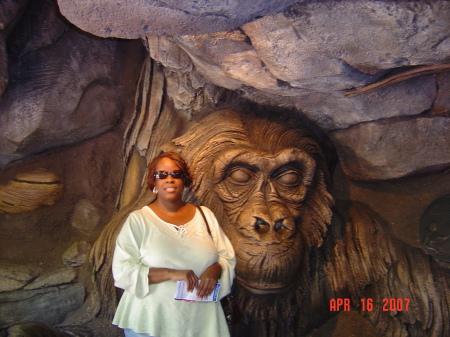 Yvette at Disney's Animal Kingdom