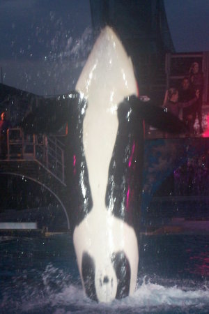 Sea World 2007