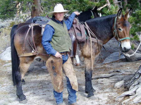 Mule Packer in the High Sierra