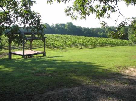 Medley Meadows Music and Vineyards stage