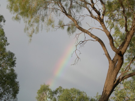 Alice Springs 2006
