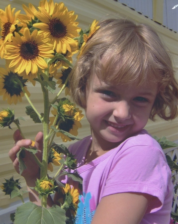 Gillians favorite Sunflower.
