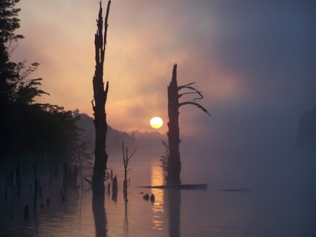 Foggy sunrise in May 2008