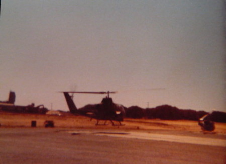 Cobra During Hover