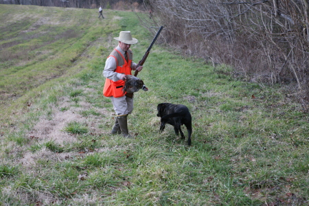 Pheasant retrieve by "Chief" '07