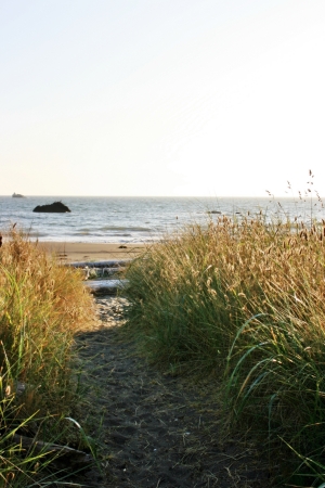 Trail to Beach