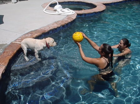 Hurley at the pool