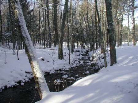 Winter 2005