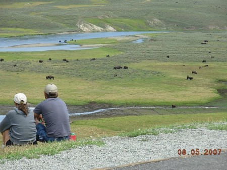 Camping in Yellowstone National Park