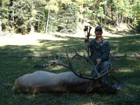 bowhunting elk in Colorado