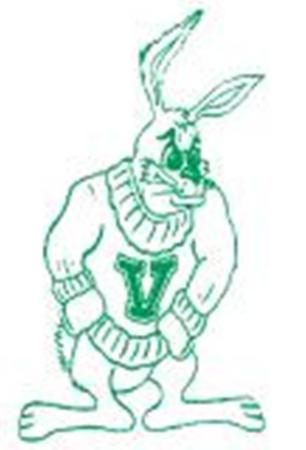 Modern Times Jackrabbit Mascot