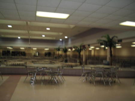 CAFETERIA SURE HAS CHANGED