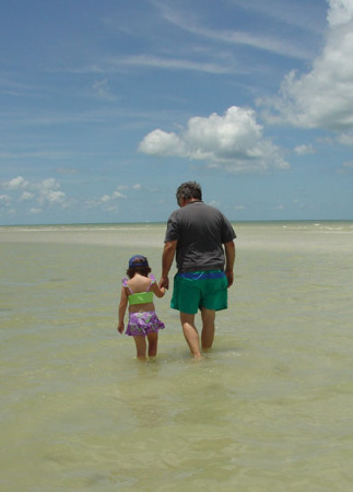 Sand dollar hunting