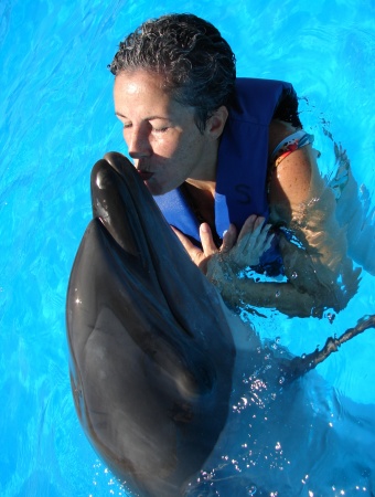 Swimming with the dolphins in Cabo