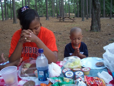 Picnic at Callaway Garden