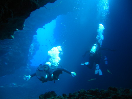 More diving off of Lanai