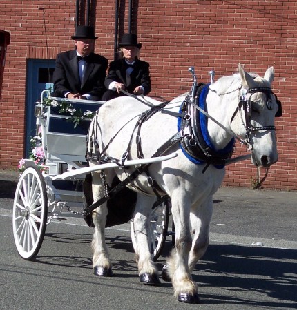 Meghan's Wedding Horse & Carriage