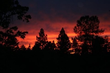 View from back deck - Bass Lake, CA