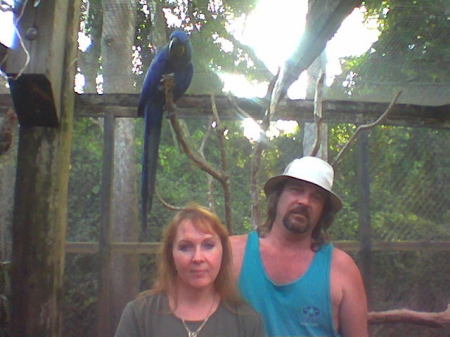 Monkey Jungle 2004