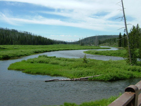 yellowstone 06 068