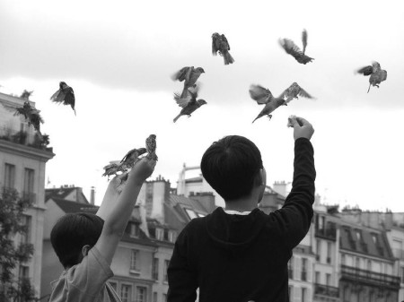 Feedin the birds in Paris