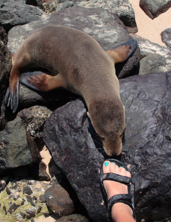 My foot in the Galapagos Islands
