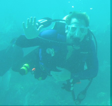 Diving in the Keys