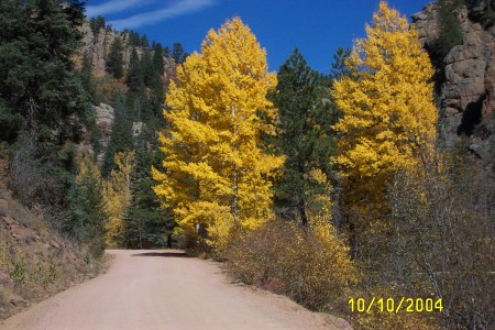 Fall in Colorful Colorado