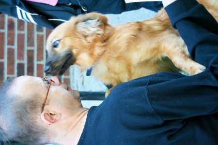 Blessing of the Pets