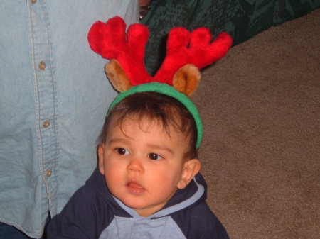 My little reindeer