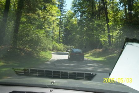 The drive in to Biltmore House