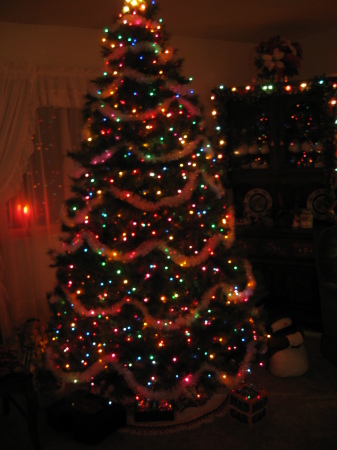 OUR CHRISTMAS TREE