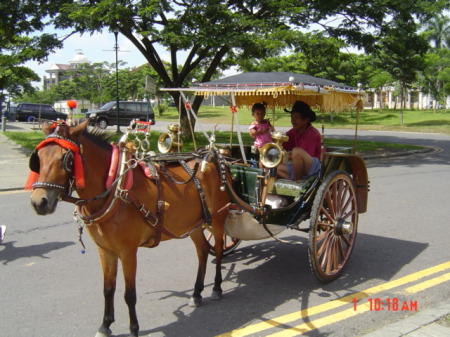 Traditional Java Ride