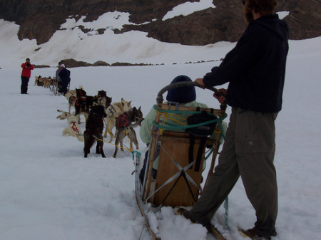 Dogsledding in Alaska