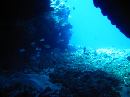 Diving the Cathedrals off of the island of Lanai