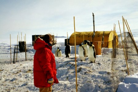 Me and the penguins