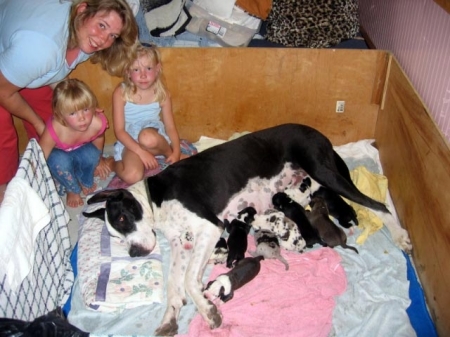 Kim & her girls with Eve's 10 new puppies