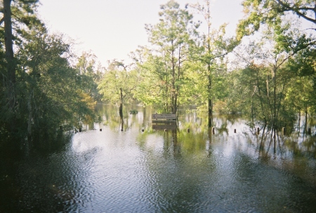 The "Great Flood" of '06