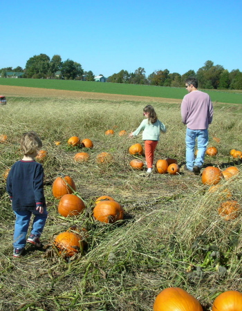 My family in the Huber's Orchard pumpkin patch
