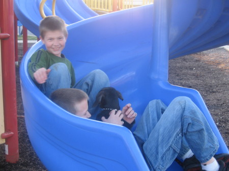 boys and dog on slide